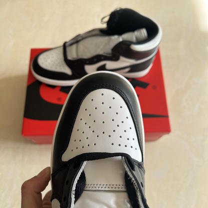 Air Jordan 1 Black and White